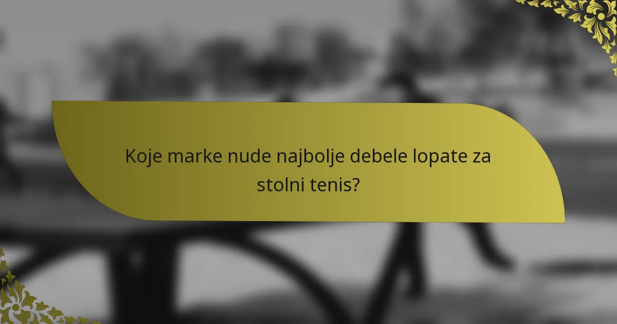Koje marke nude najbolje debele lopate za stolni tenis?